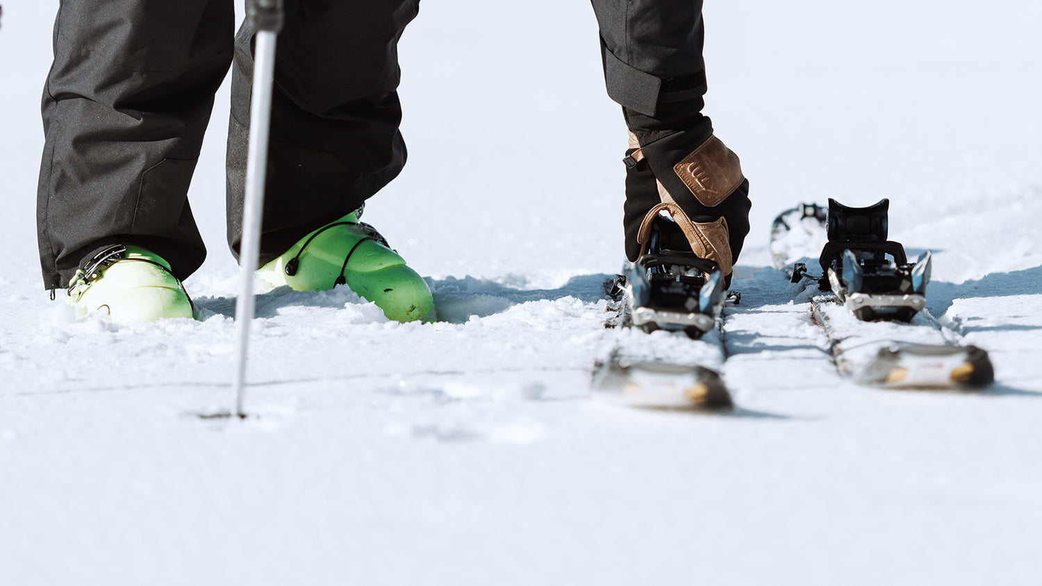 Men's Plus Size Collection