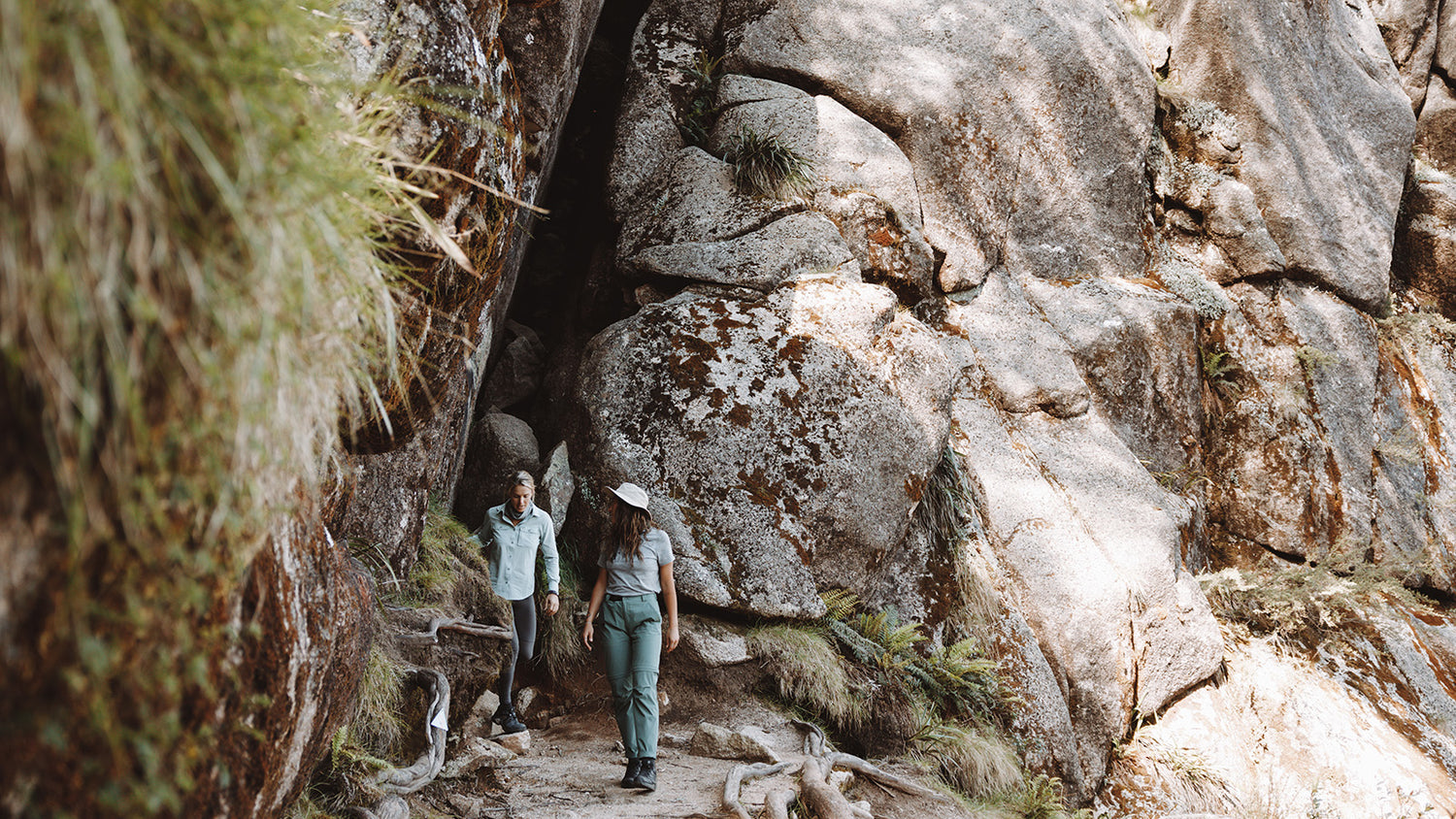 Womens Hiking Pants & Hiking Tights