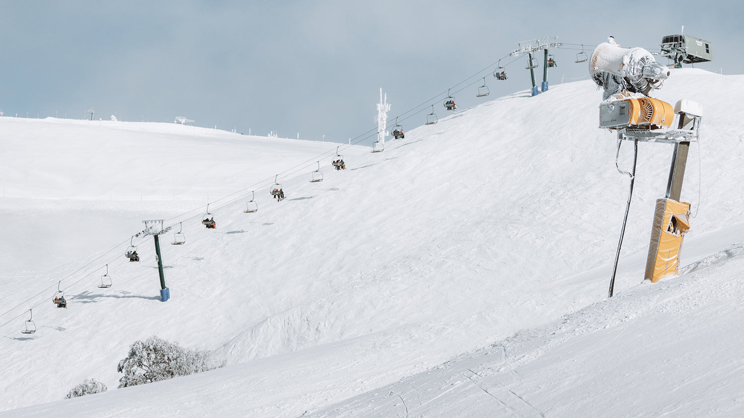 Women's Plus Size Collection