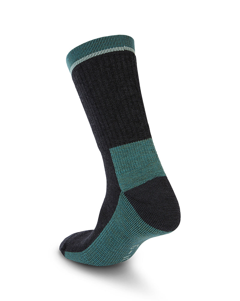 Spruce Green
